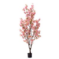 316-000029.jpg Декоративно растение Цвет од праска I во саксија pink pp H170cm